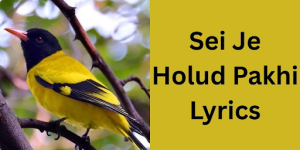 Sei Je Holud Pakhi Lyrics